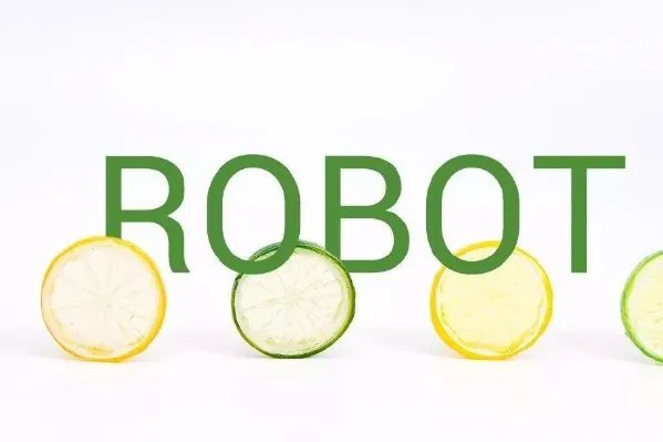 常用的英文字体有哪些？