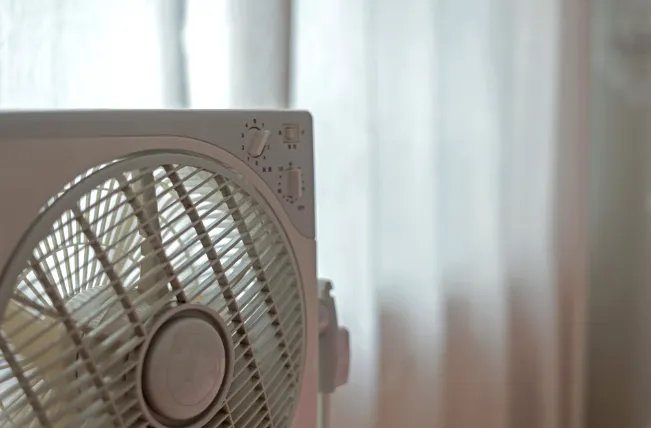 三九天和三伏天是什么意思