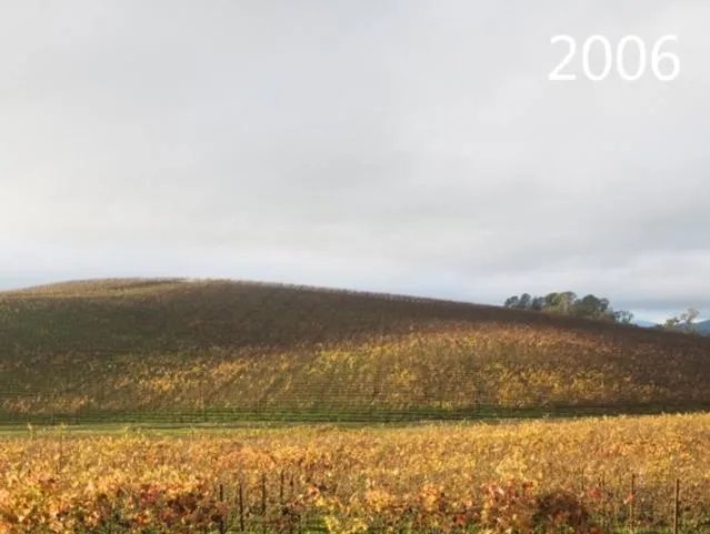 世界上知名度最高的照片是哪一张，有超过几亿人观看过的吗？