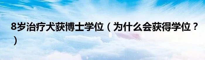 8岁治疗犬获博士学位（为什么会获得学位？）