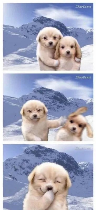 非化石能源包括哪些