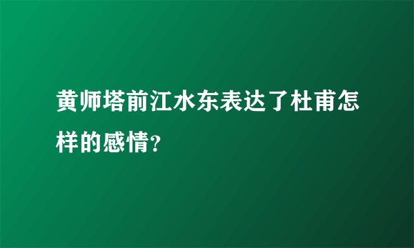 黄师塔前江水东表达了杜甫怎样的感情？