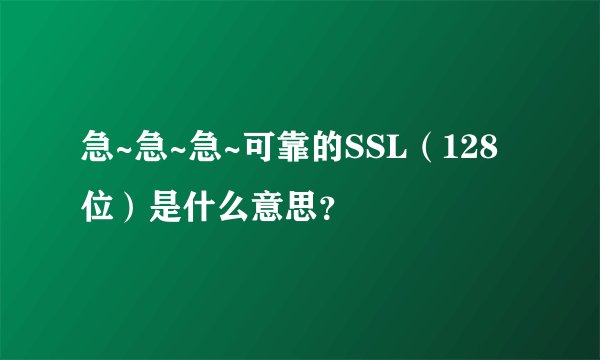 急~急~急~可靠的SSL（128位）是什么意思？