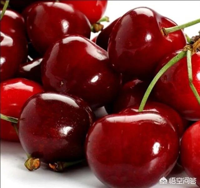 大樱桃市场零售价最贵卖到近二十元一斤，为何不发展大樱桃种植呢？