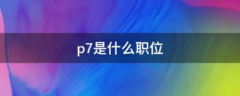 p7是什么职位