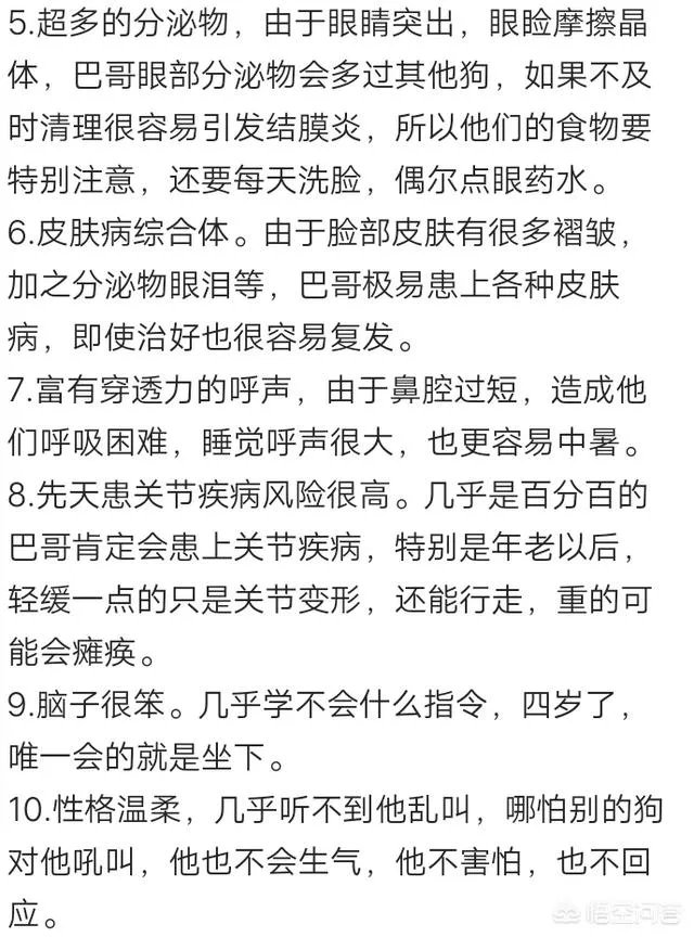 为什么养八哥犬的人那么少?