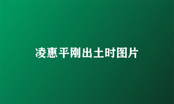 凌惠平刚出土时图片