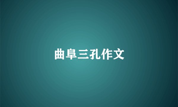 曲阜三孔作文