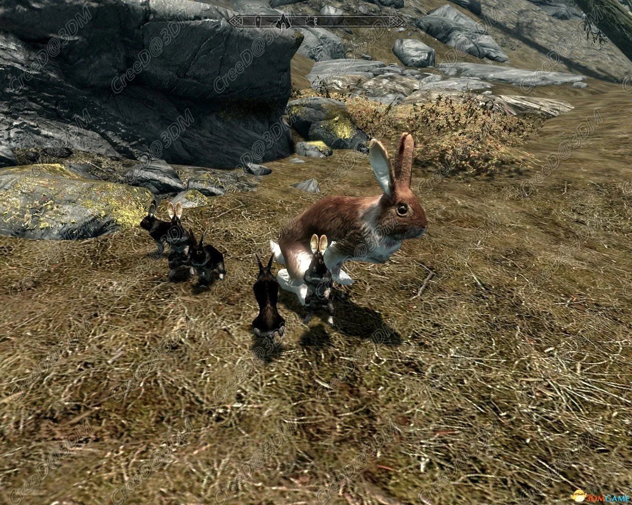 上古卷轴5 真实动物与肉食动物 真实的动物MOD