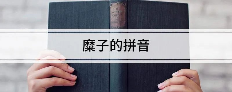 糜子的拼音