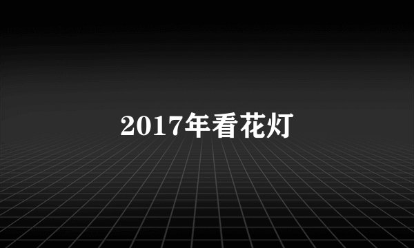 2017年看花灯