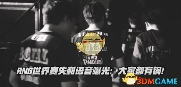 RNG队内语音最新