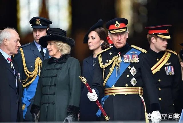 威廉和哈里两位王子和卡米拉的关系怎样？