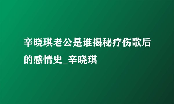 辛晓琪老公是谁揭秘疗伤歌后的感情史_辛晓琪