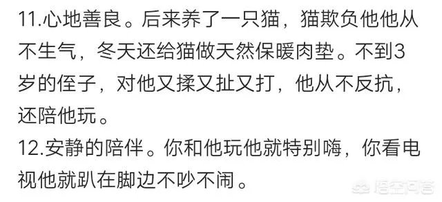 为什么养八哥犬的人那么少?