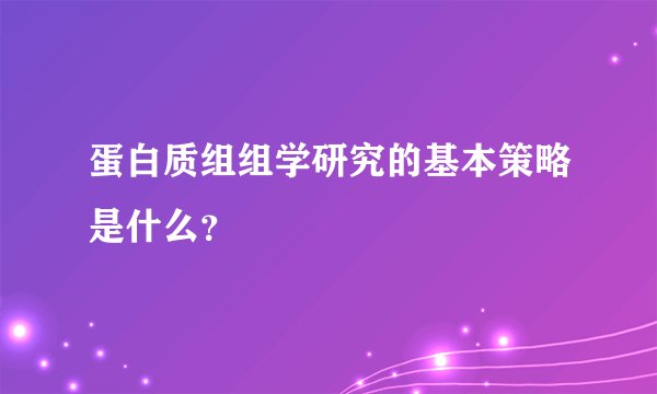 蛋白质组组学研究的基本策略是什么？