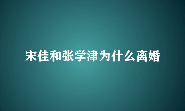 宋佳和张学津为什么离婚