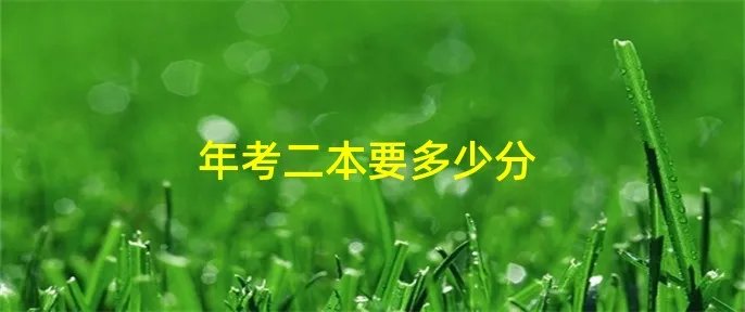 年考二本要多少分