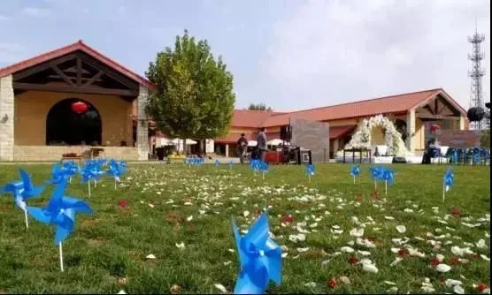 废物利用:脑洞大开的乡村景观