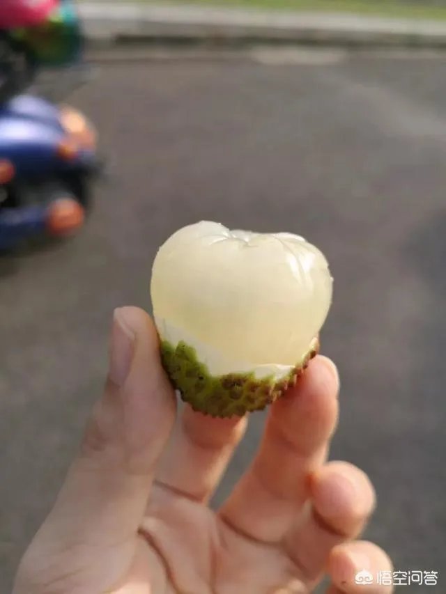 端午假期,海南有哪些地方最适合去?