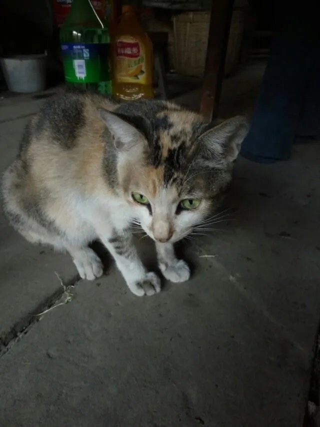 这个世界上最难过的事情是什么?