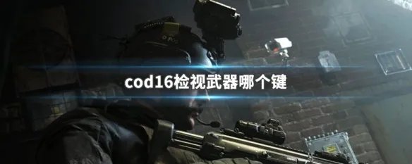 cod16检视武器哪个键