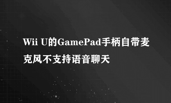 Wii U的GamePad手柄自带麦克风不支持语音聊天