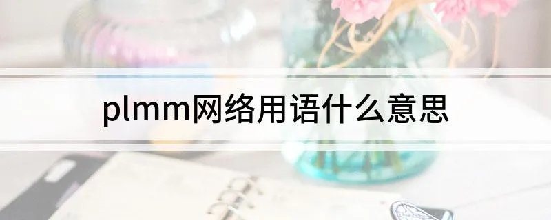 plmm网络用语什么意思