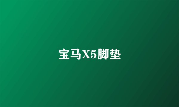宝马X5脚垫