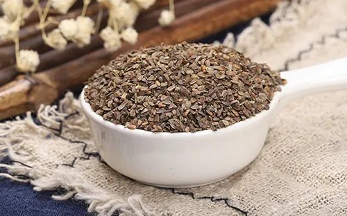 茺蔚子的功效与作用 中药茺蔚子怎么用