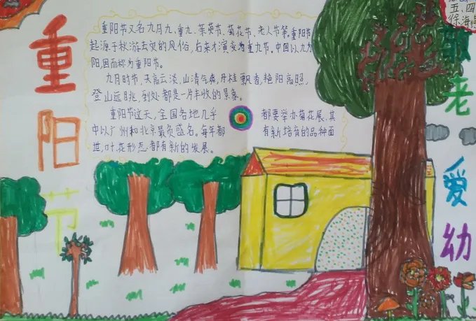 小学生重阳节漂亮的手抄报图片