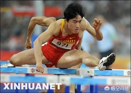 谢文骏在雅加达亚运会上能否获得男子110米项目的冠军？