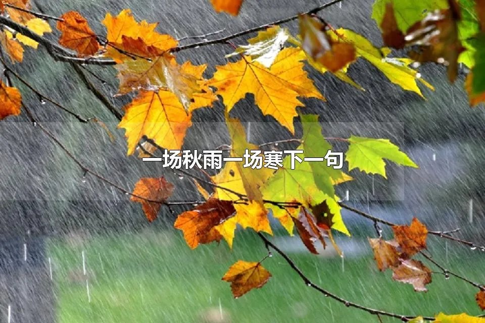 一场秋雨一场寒下一句 一场秋雨一场寒上一句