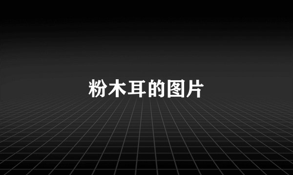 粉木耳的图片