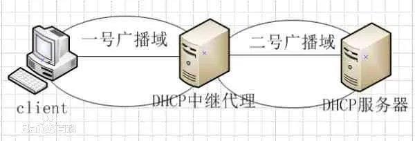 dhcp功能