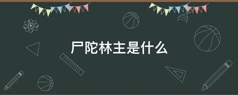尸陀林主是什么