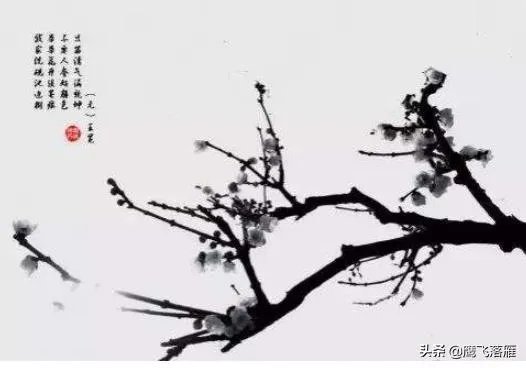 不要人夸颜色好只留清气满乾坤描写的是哪种花？