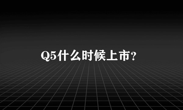 Q5什么时候上市？