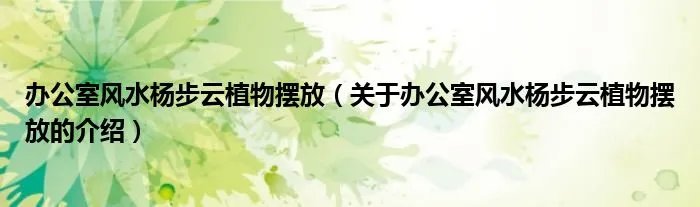 办公室风水杨步云植物摆放（关于办公室风水杨步云植物摆放的介绍）