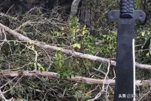 如何野外求生? 技巧经验？