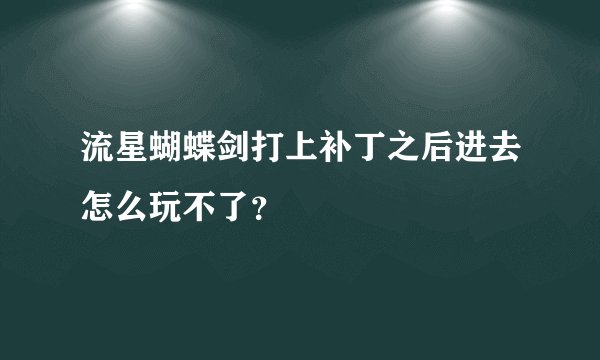 流星蝴蝶剑打上补丁之后进去怎么玩不了？