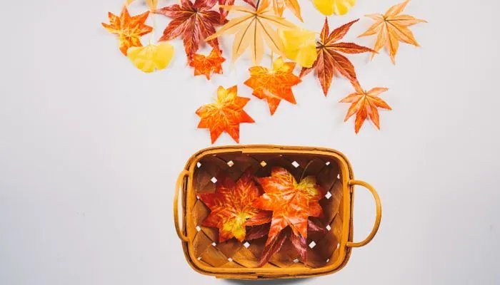 九月的句子短句唯美摘抄 九月的简短文案