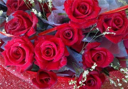 结婚纪念日送几朵玫瑰寓意好 结婚纪念日怎么安排好