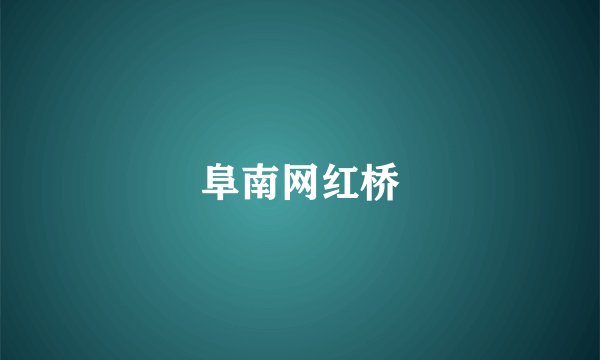 阜南网红桥