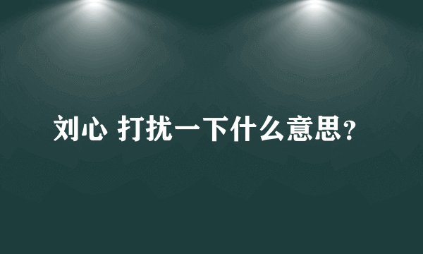刘心 打扰一下什么意思？