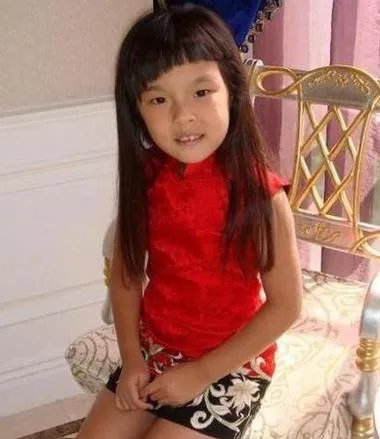 法图麦·李的介绍