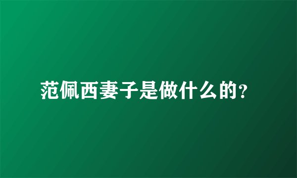 范佩西妻子是做什么的？