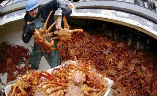 长脚蟹和帝王蟹的区别 长脚蟹多少钱一斤