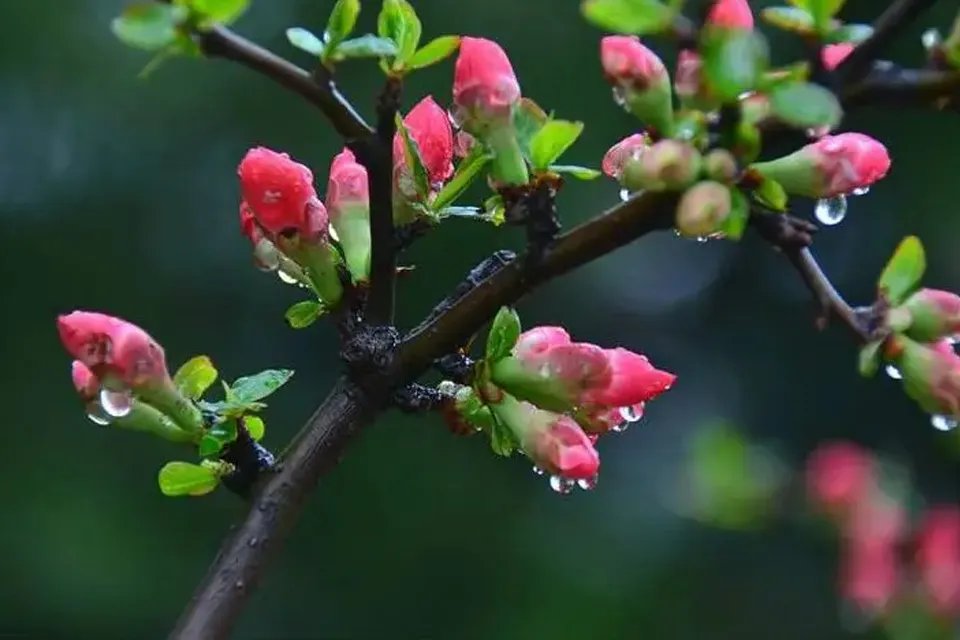 一场秋雨一场寒下一句 一场秋雨一场寒上一句