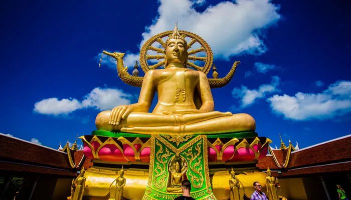 舍利子是怎么形成的 舍利子的形成